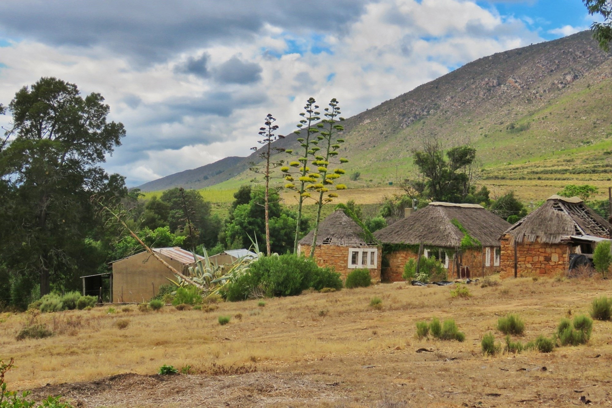 3 Bedroom Property for Sale in Uniondale Rural Western Cape